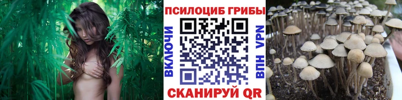 Псилоцибиновые грибы GOLDEN TEACHER  закладки  Славск 